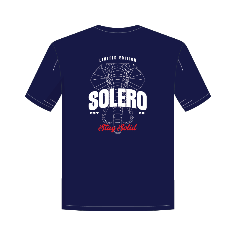 Stay Solid Tee